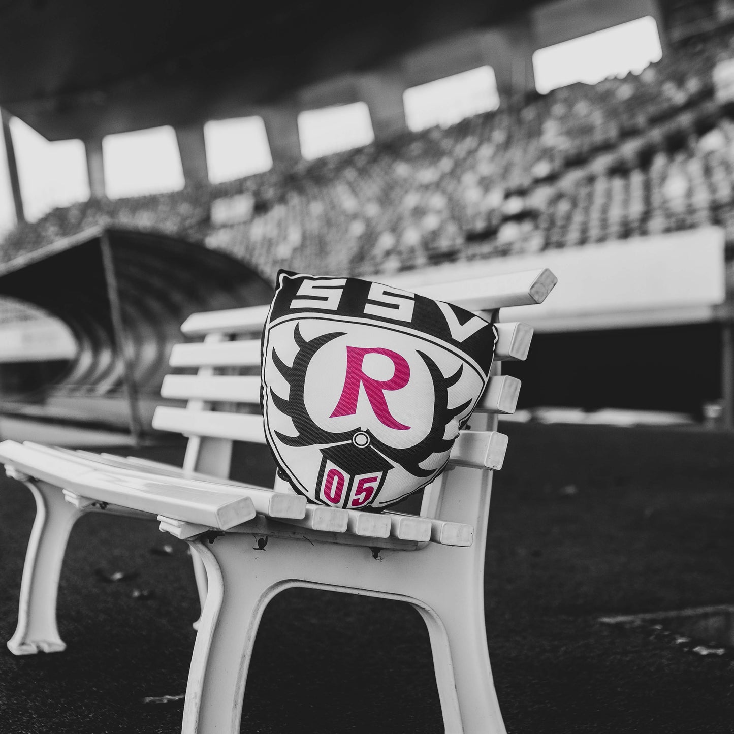 Kissen Wappen »SSV Reutlingen 05«